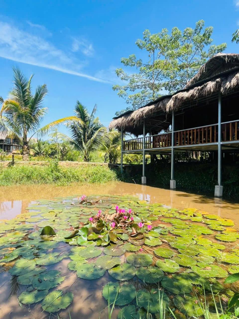 Mai Chau Onsen Retreat酒店 外观 照片